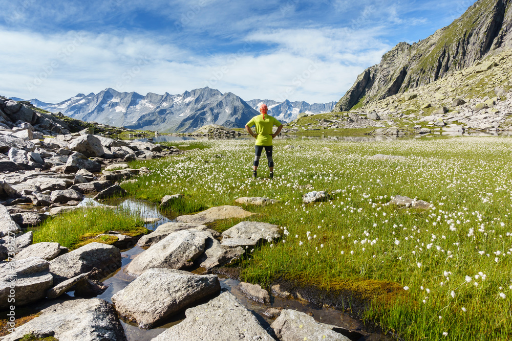 Ein Bergwanderer steht mitten in einem Wollgrasfeld in den Alpen
