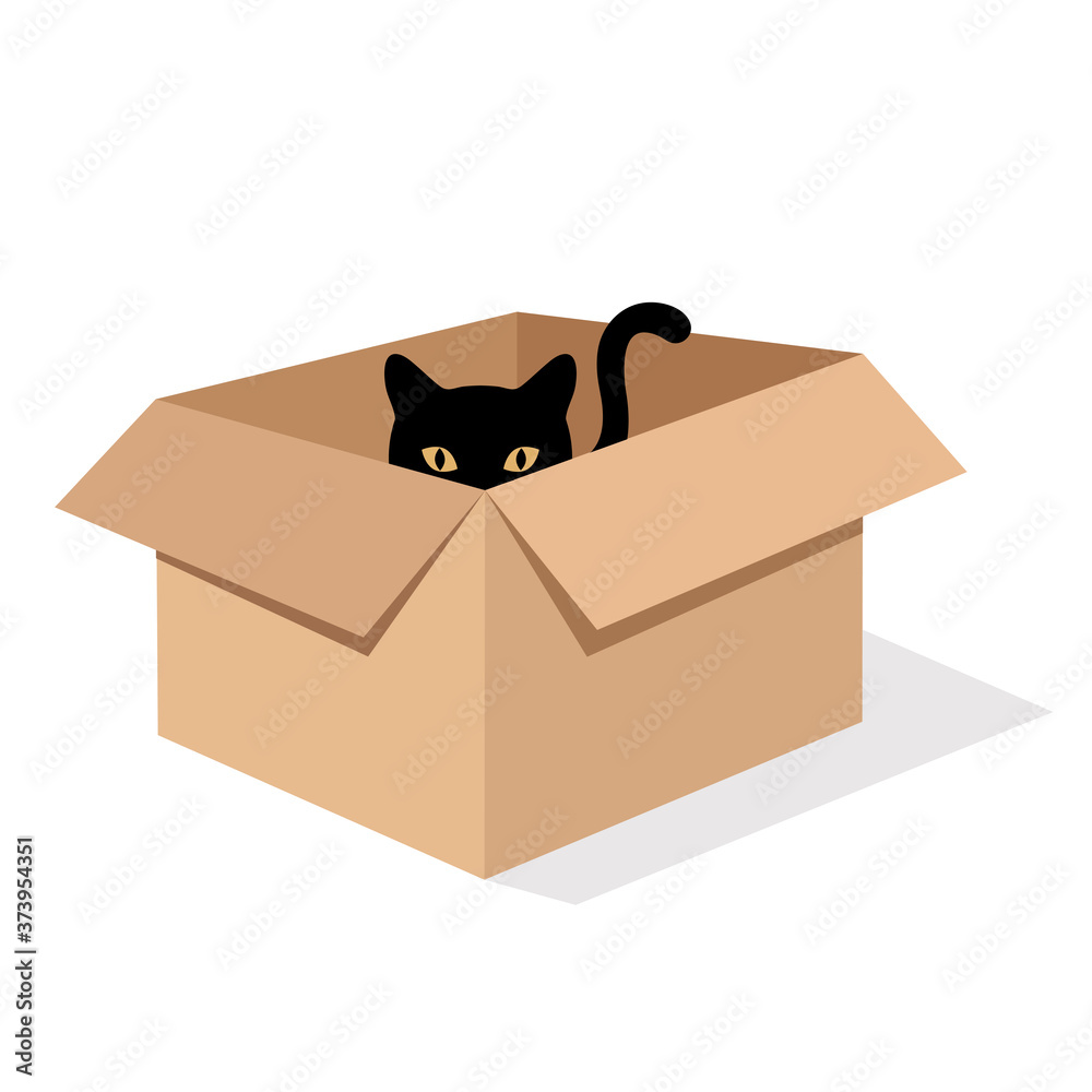illustration of a cute black cat in a box on a white background with shadow