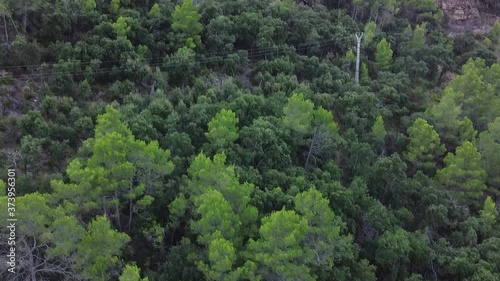 aerial video of drone footage with water trees and roads photo