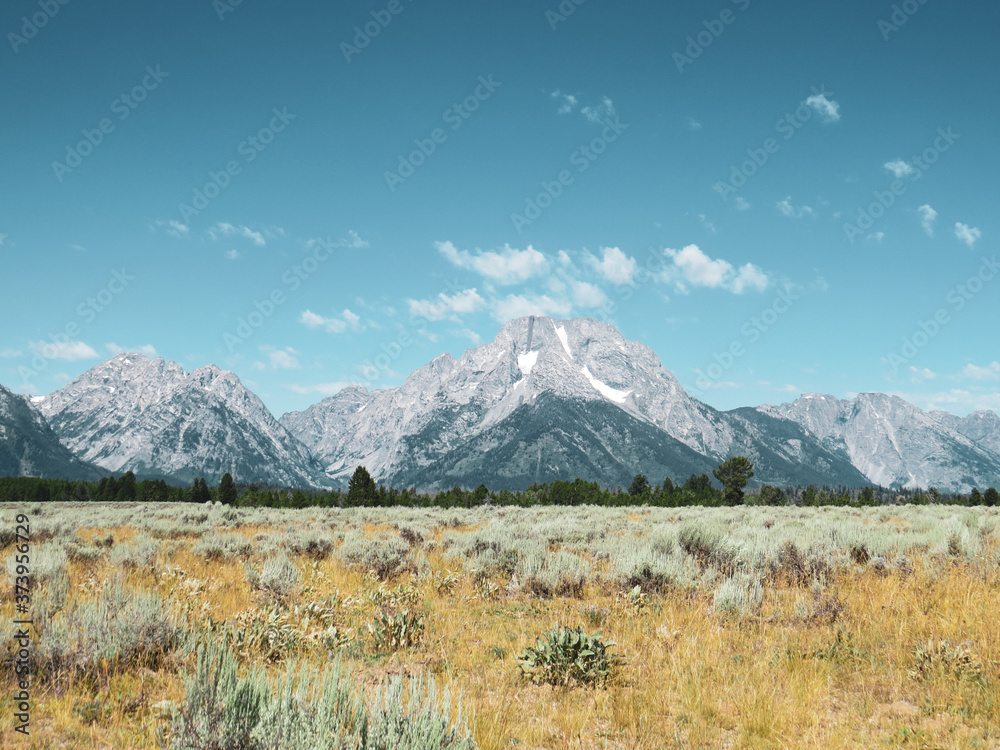 Fototapeta premium Mountain View