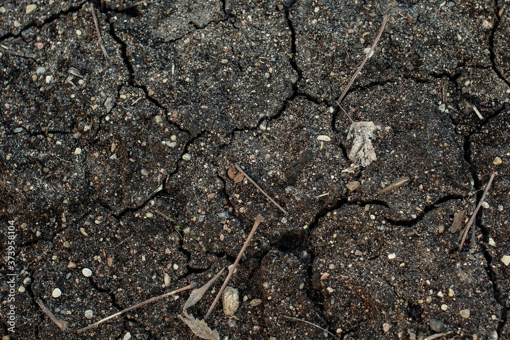 Dry agricultural land, cracked soil, black background Dry agricultural land, cracked soil, black background