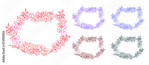 Multicolor Set of horizontal frames with beautiful gladiolus flowers. Plase for lettering in the center. Ink colores outline drawing. Festive floral circle for your design