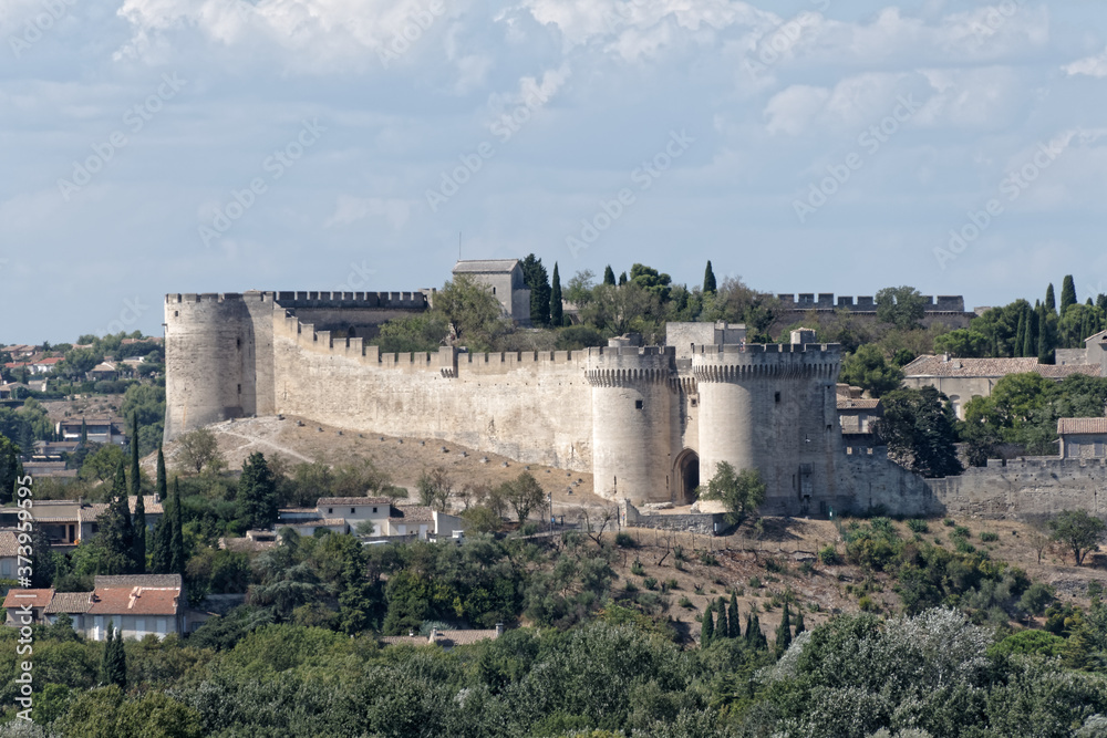 Fort Saint-André de Villeneuve-lez-Avignon sur le Mont Saint-Andaon. Gard - France