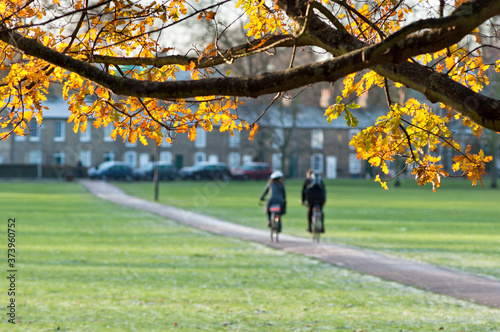 Εκτύπωση καμβά Jesus Green, Cambridge. UK