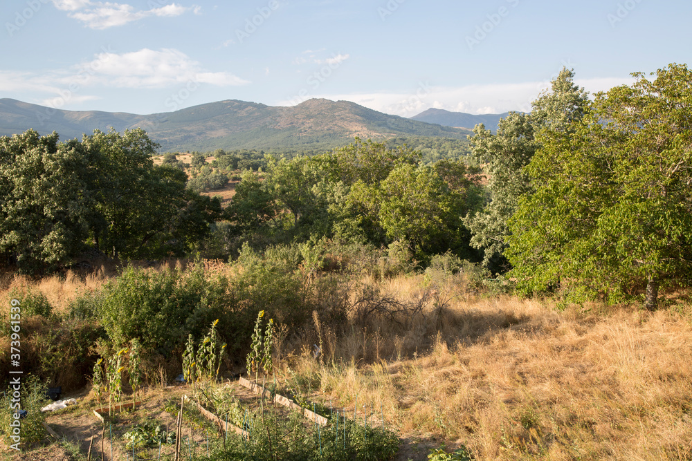 Naklejka premium Mountain View from Pradena del Rincon; Madrid