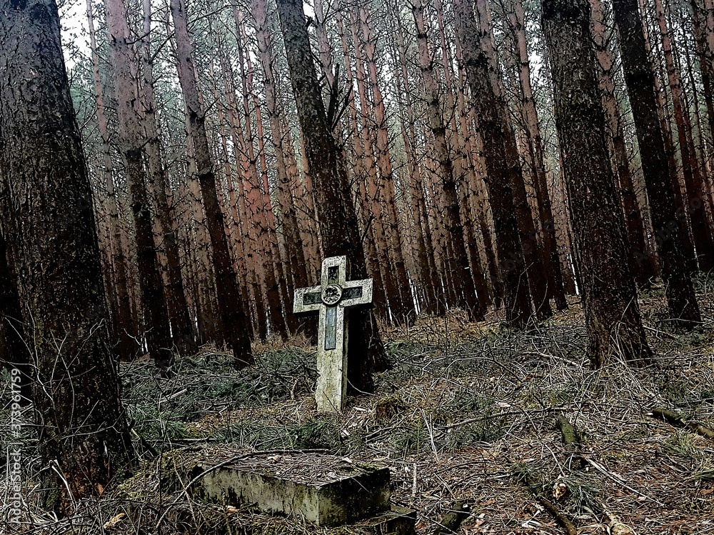 cross in the woods - obrazy, fototapety, plakaty 