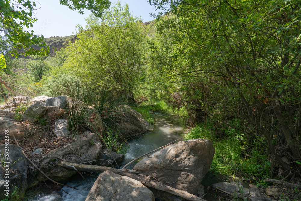 water flowing down a river, around there is vegetation water flowing down a river, around there is vegetation