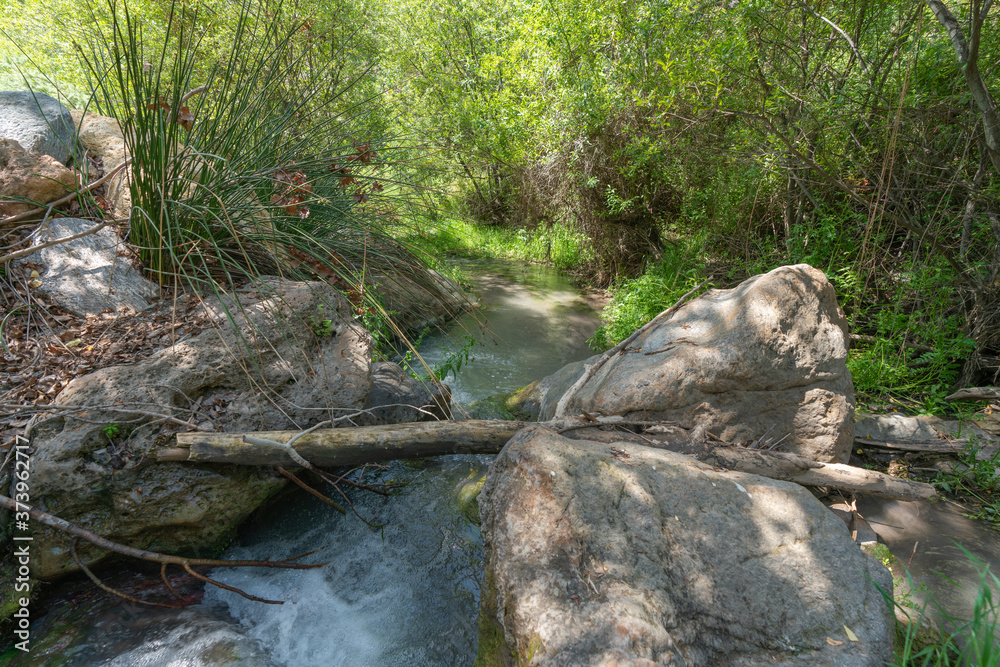 water flowing down a river, around there is vegetation water flowing down a river, around there is vegetation