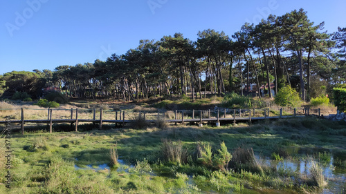 The Northern Litoral Natural Park at Ofir, Esposende, Portugal. The large estuary of the Cávado river, where you can spot migratory birds such as capped herons, terns, mallards and herring gulls.