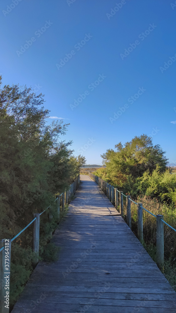 The Northern Litoral Natural Park at Ofir, Esposende, Portugal. The large estuary of the Cávado river, where you can spot migratory birds such as capped herons, terns, mallards and herring gulls.