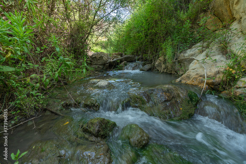 water flowing down a river, around there is vegetation