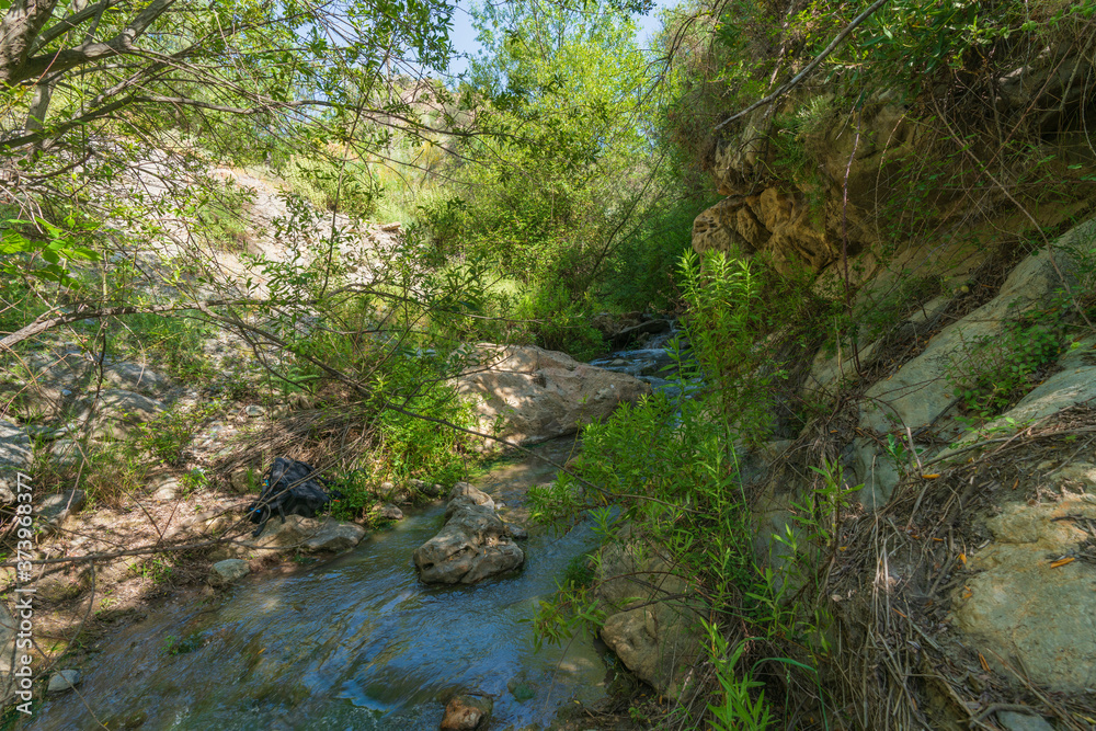 water flowing down a river, around there is vegetation water flowing down a river, around there is vegetation