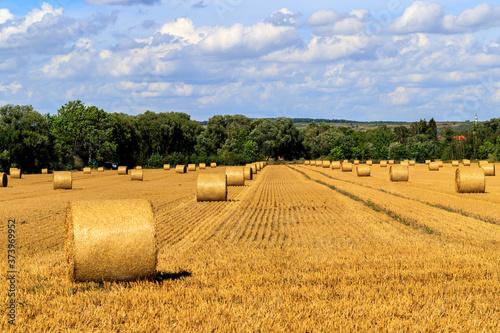 Thüringer Sommerlandschaft - abgeerntetes Feld