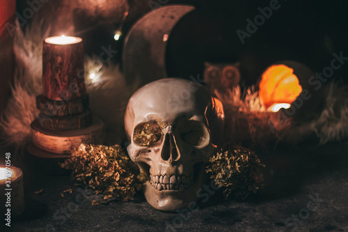 Fototapeta Occult mystic ritual halloween witchcraft scene - human scull, candles, dried fl