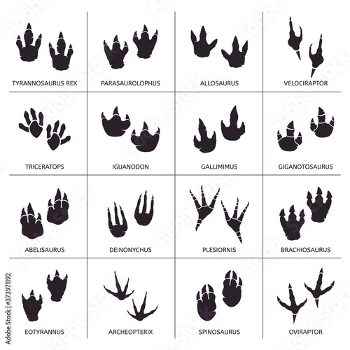 Obraz Dinosaur footprint. Reptile foot anatomy, ancient predator animals footprint tracks, paleontology dino traces vector illustration icons set. Reptile foot monster, print dinosaur shape paw