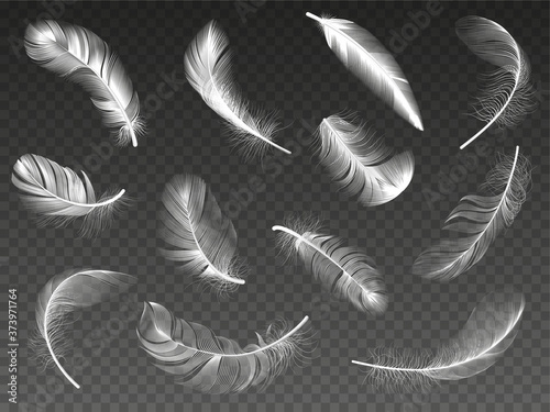 White realistic feather. Fluffy angel twirled feathers, 3d bird feather, swan or dove wings plumage isolated vector illustration icons set. Realistic white swan and fluffy, feather falling