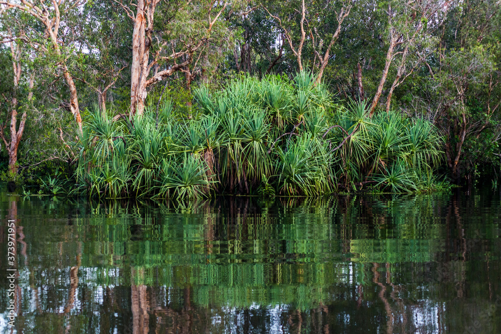 Flooded wetlands during the wet season at Kakadu, Northern Territory, Australia. Flooded wetlands during the wet season at Kakadu, Northern Territory, Australia.