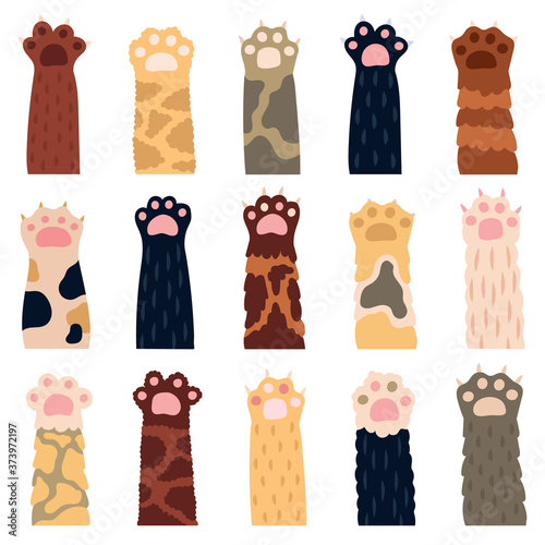 Cat paws. Cute kitty paw, doodle funny domestic cat fur legs, domestic kitten footprints, pets clawed paws vector illustration icons set. Kitten paw friendly, domestic fluffy various