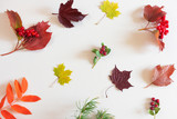Autumn flat lay: red and yellow leaves, red berries, cones on a pastel neutral background. Top view, copy space.