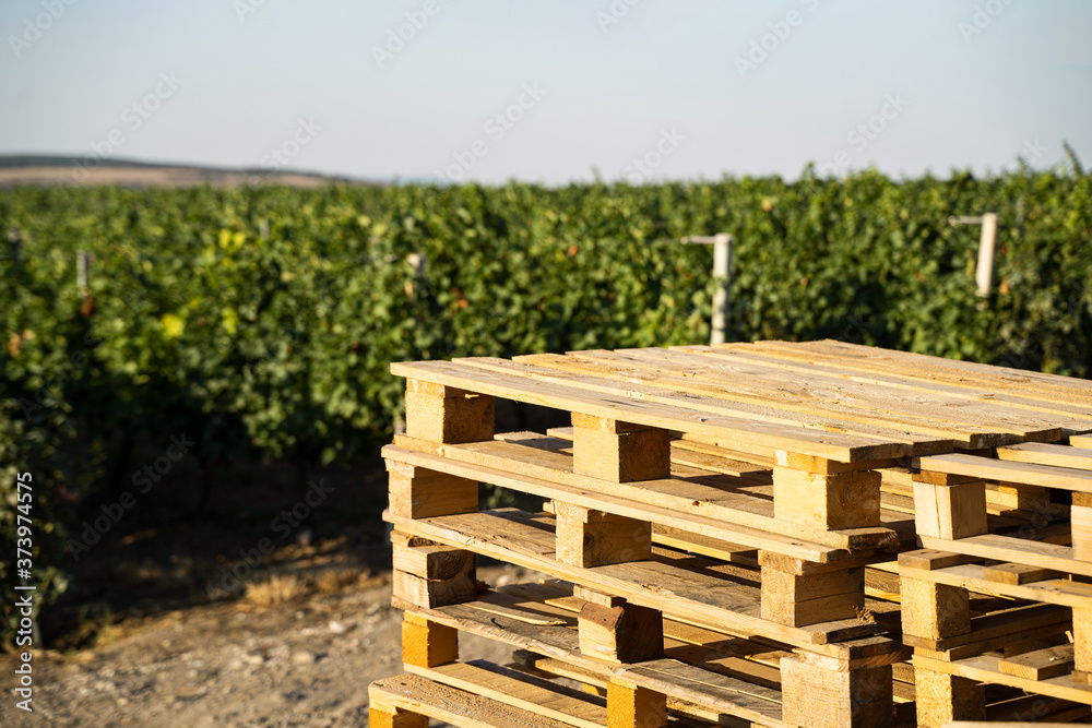 stacked wooden euro pallets in front of a vineyard stacked wooden euro pallets in front of a vineyard