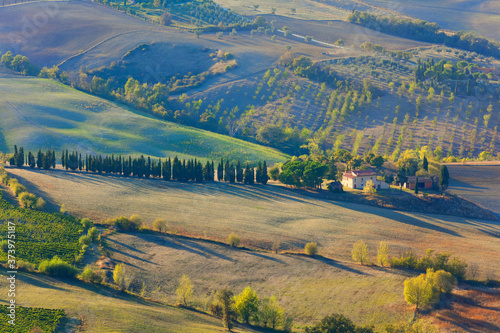 Wallpaper Mural Beautiful landscape in Tuscany near Montepulciano. Torontodigital.ca