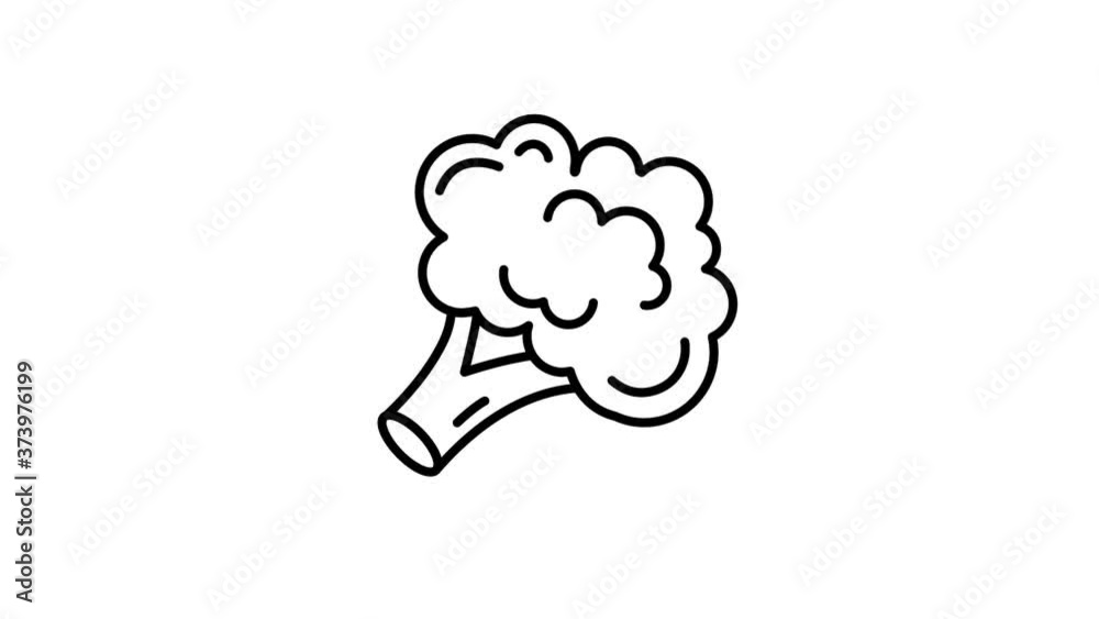 Broccoli line icon on the Alpha Channel Broccoli line icon on the Alpha Channel