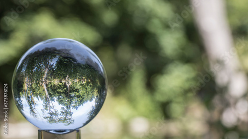 the world Through a lensball (sphere)
