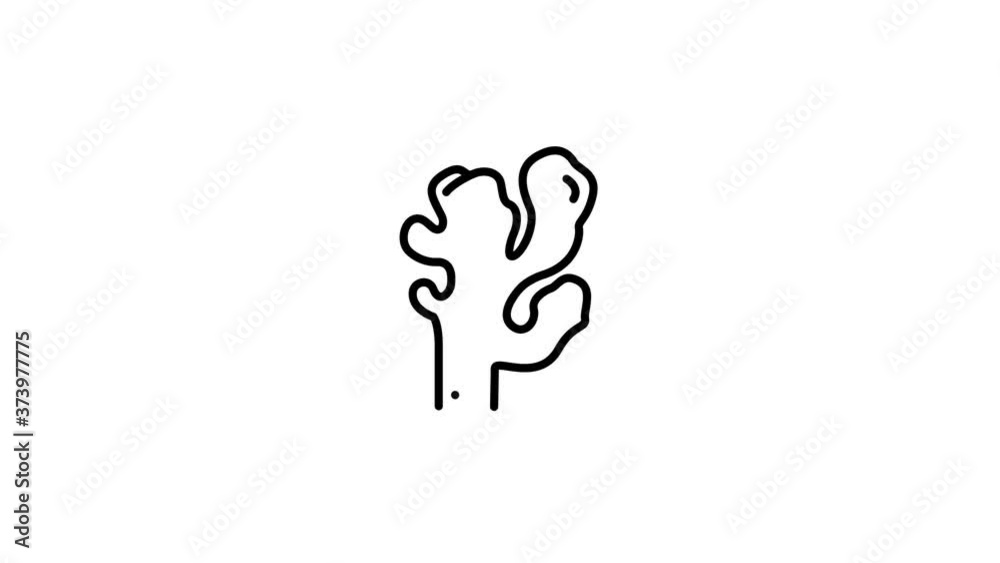 Ginger line icon on the Alpha Channel Ginger line icon on the Alpha Channel