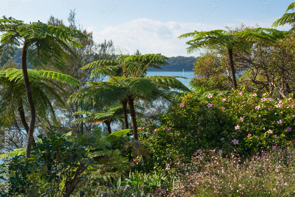 Cremorne reserve at the tip of Cremorne Point, Sydney, New South Wales, Australia.