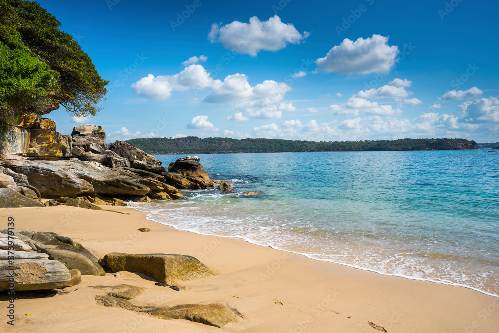 Lady Bay Nudist Beach, Watson's Bay, Sydney, Australia. Lady Bay Nudist Beach, Watson's Bay, Sydney, Australia.