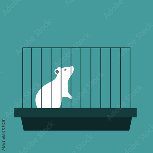experimental laboratory white mouse in a cage. flat vector illustration on blue background