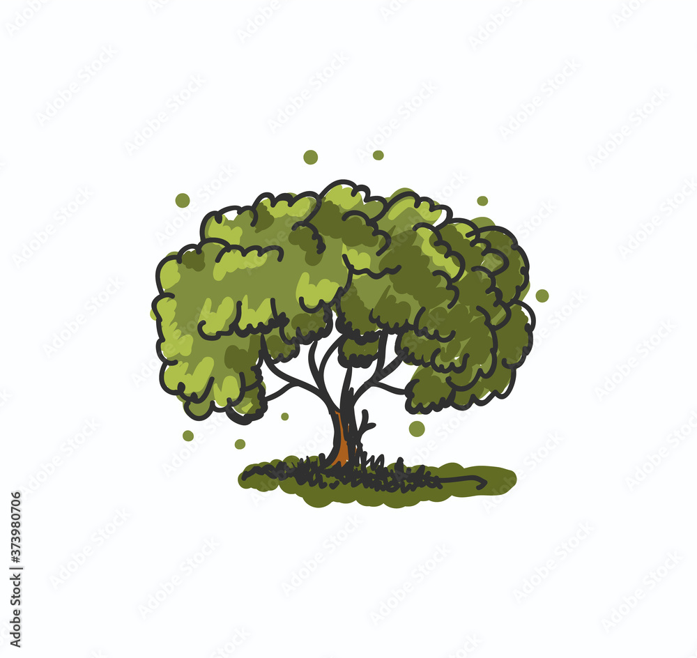 Fototapeta Tree vector illustration hand drawn painted