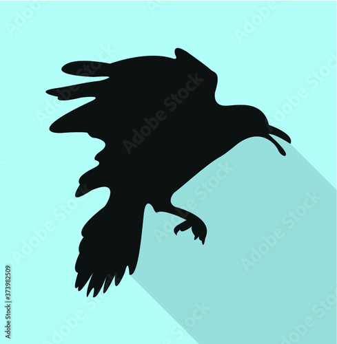 Jackdaw, daw