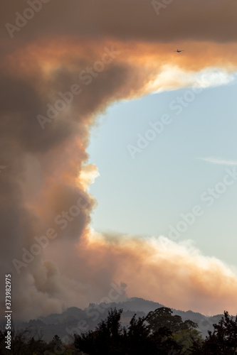 We Will Not Rest - Fire aircraft comes around for another pass as smoke rises aggressively. Santa Rosa, California, USA