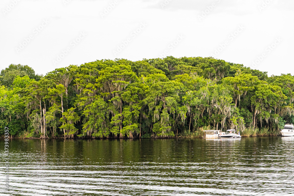 Swampy Florida