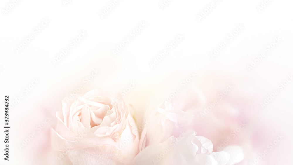 Floral background Floral background