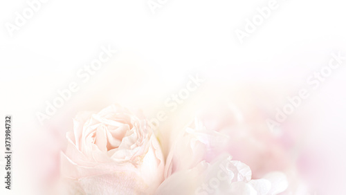 Floral background