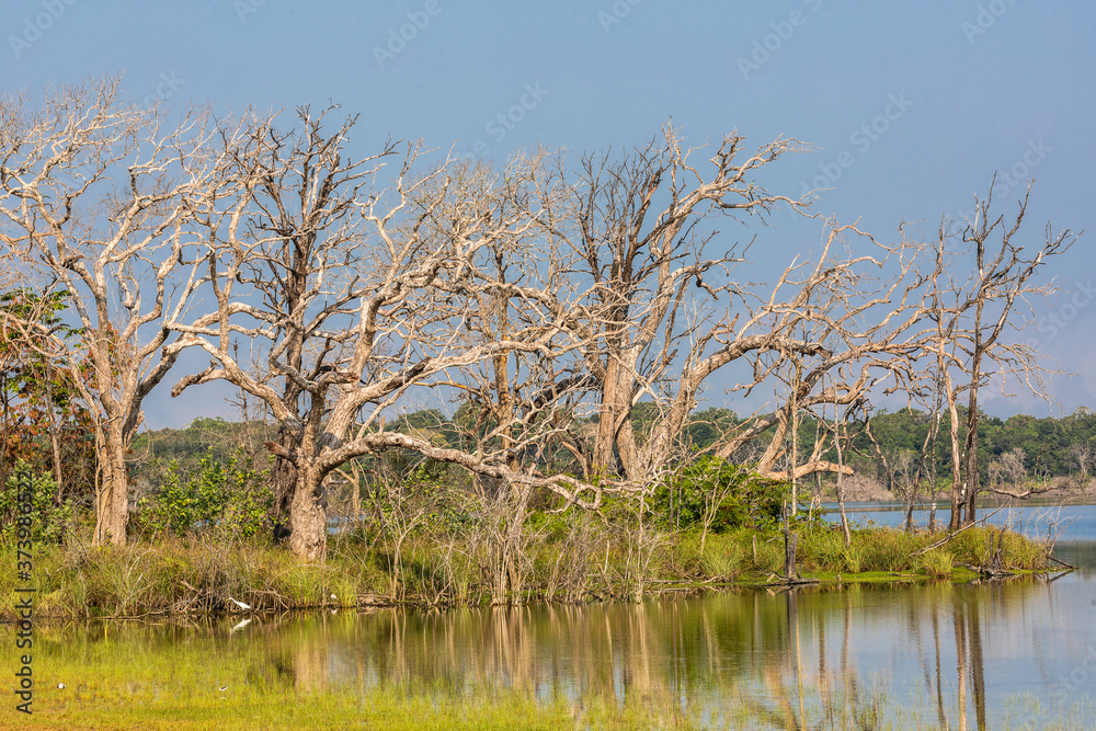 Sri Lanka, Wilpattu National Park Sri Lanka, Wilpattu National Park