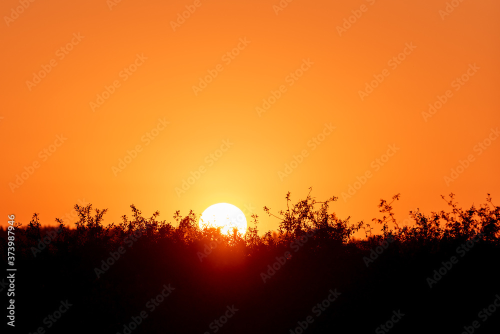the beautiful orange colors of the sunrise