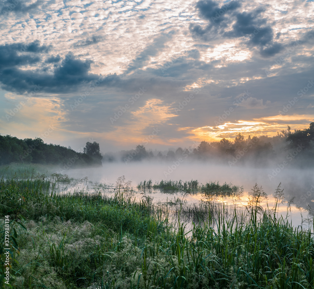 Fototapeta premium Square morning landscape. Sunrise. Reflection of the sky and trees in the river.