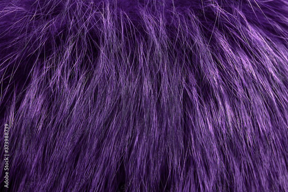 Fototapeta premium Purple fur as background. Close up