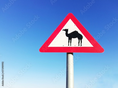 Vertical road sign in the desert