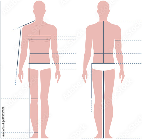 Male body for measuring the size vector illustration