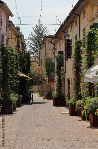 A street in Fidenza lined with trees and decorated with hanging baskets and plants. photo