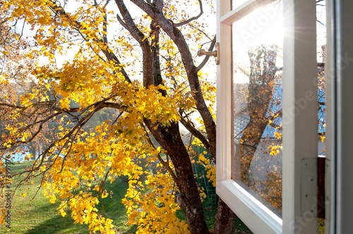 Autumn landscape through the open window. Hello autumn concept. photo