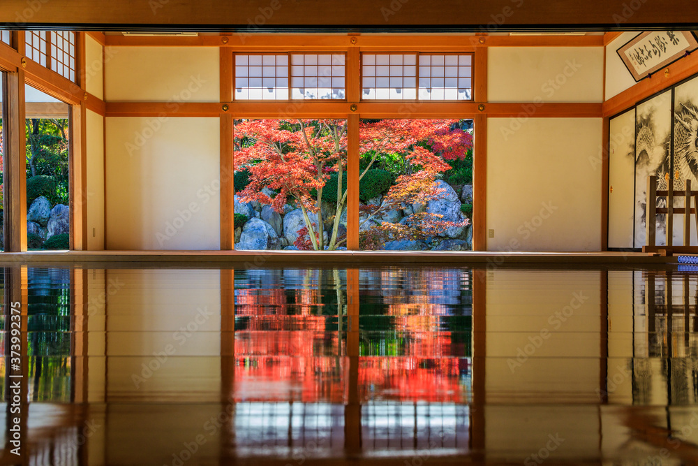 美しい床紅葉 美しい床紅葉