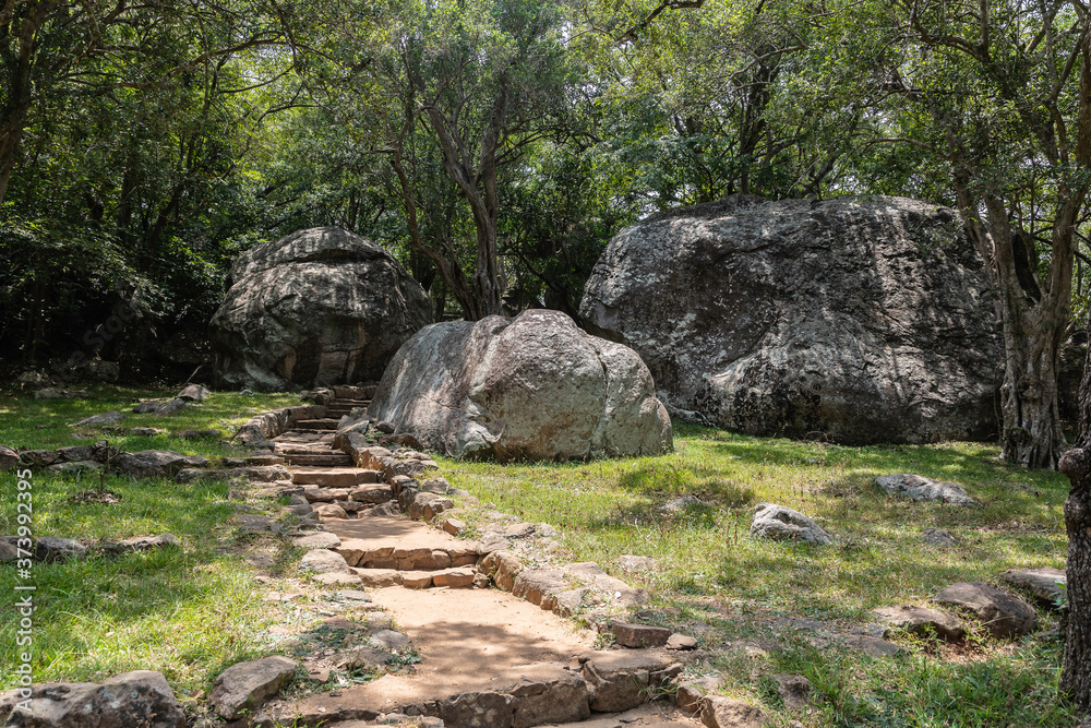 Sri Lanka, temples and landscape around Sigiria and the Liobs Rock Sri Lanka, temples and landscape around Sigiria and the Liobs Rock