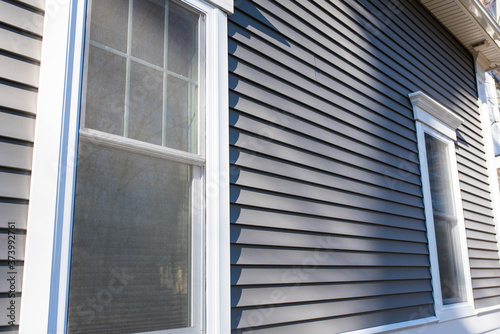 Vinyl siding and window treatments, real estate bg