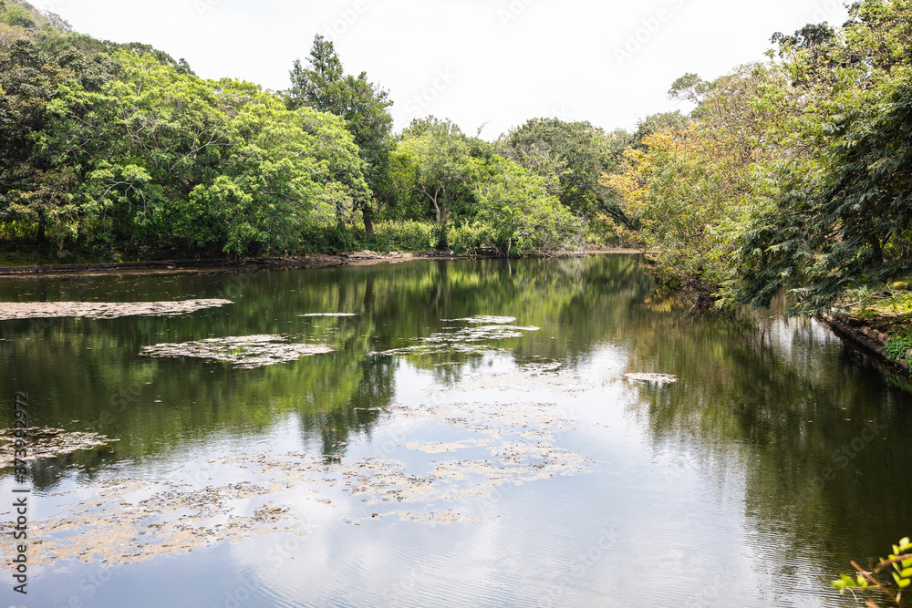 Sri Lanka, temples and landscape around Sigiria and the Liobs Rock