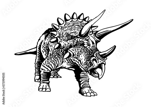 Vector triceratops isolated on white background, graphical illustration of dinosaur